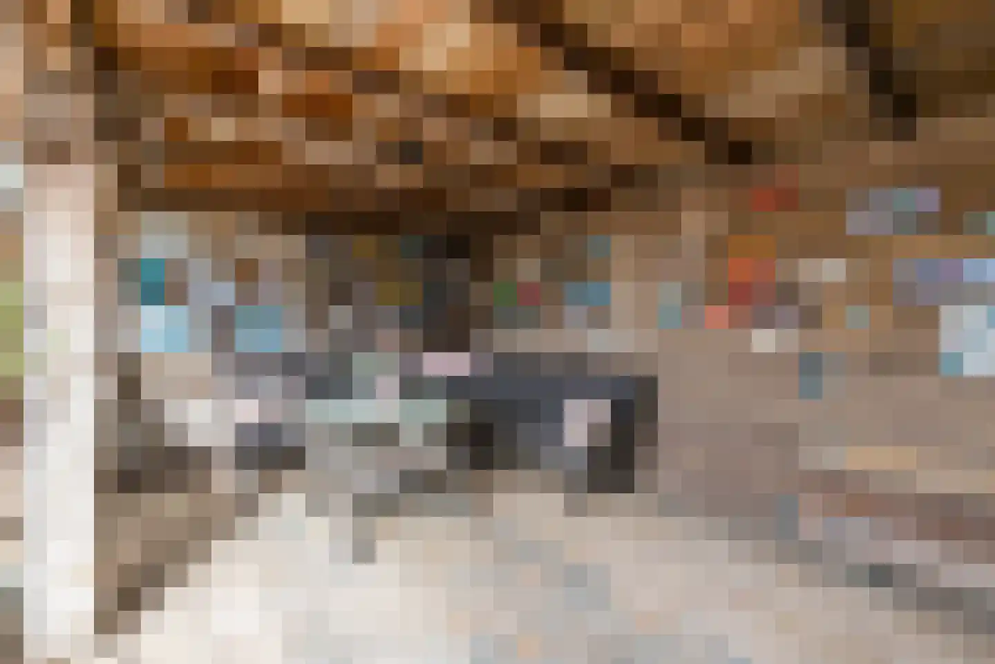 Kievitstraat 2 A Geldrop thumbnail 40