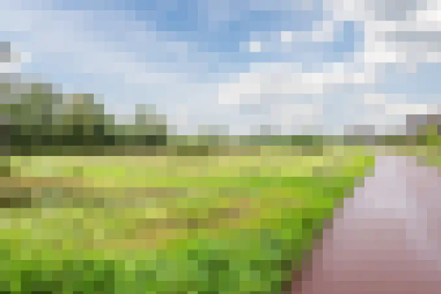 Kievitstraat 2 A Geldrop thumbnail 45