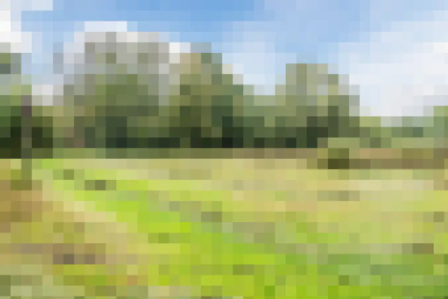 Kievitstraat 2 A Geldrop thumbnail 46