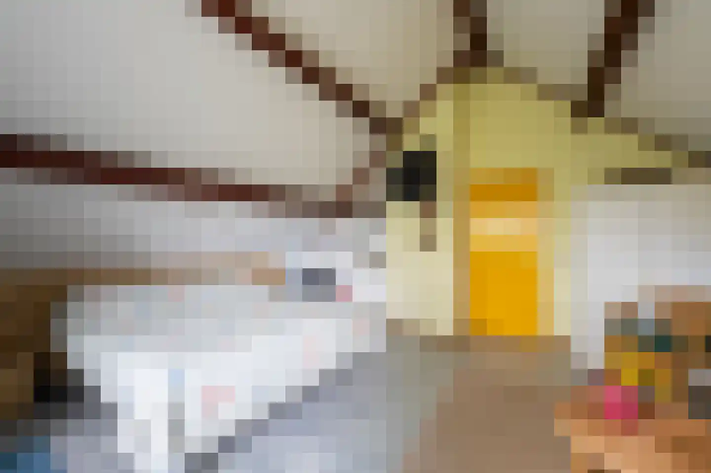 Kievitstraat 2 A Kampen thumbnail 12