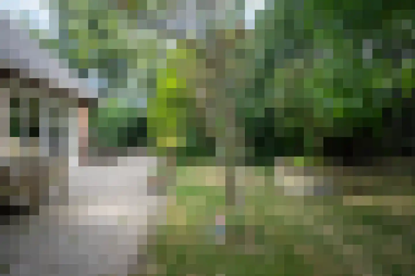 Kievitstraat 2 A Kampen thumbnail 32