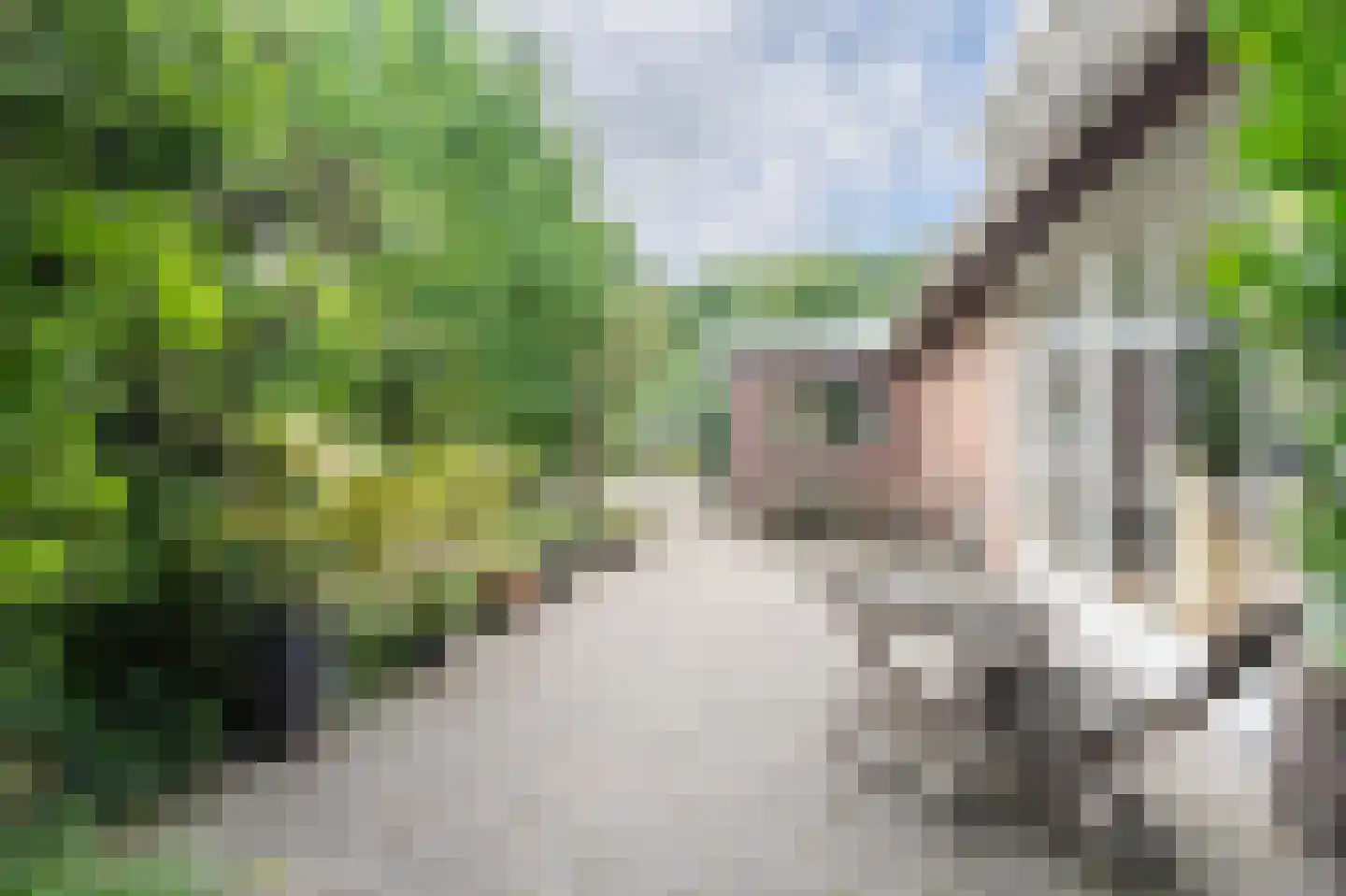 Kievitstraat 2 A Kampen thumbnail 34
