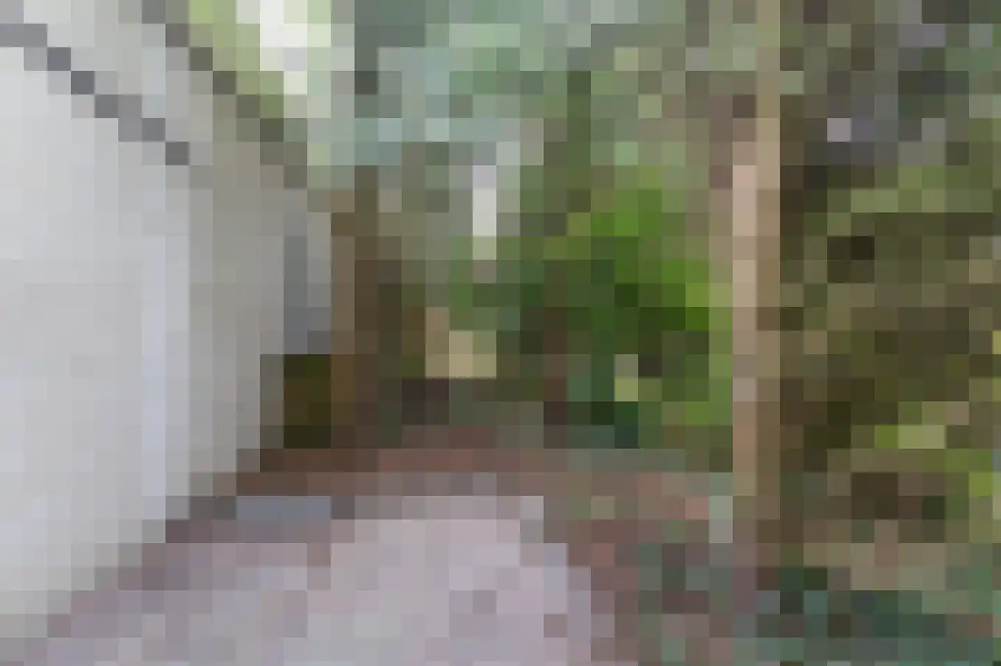 Kievitstraat 2 A Kampen thumbnail 38