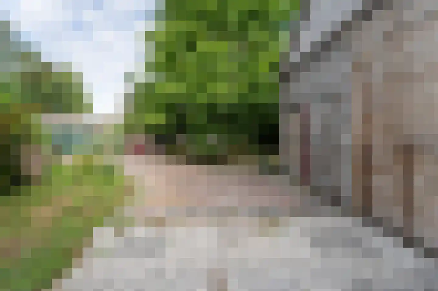 Kievitstraat 2 A Kampen thumbnail 40
