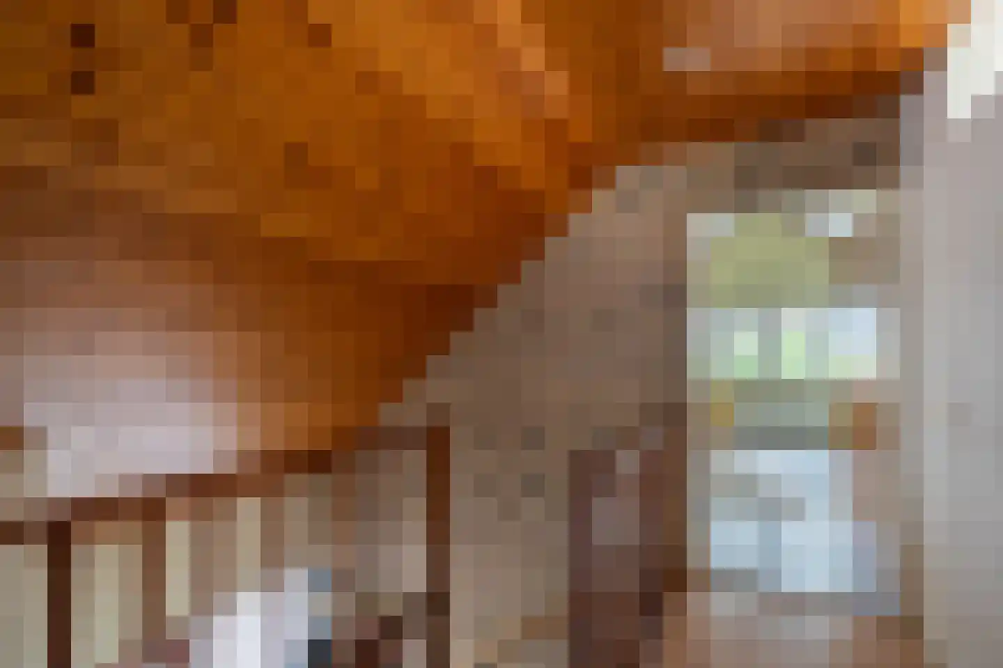 Kievitstraat 2 A Kampen thumbnail 43