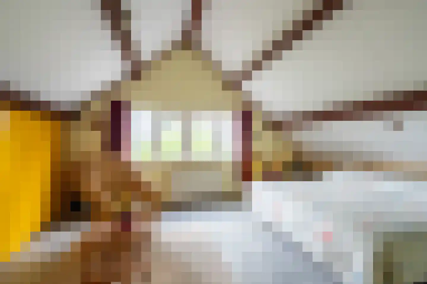Kievitstraat 2 A Kampen thumbnail 45