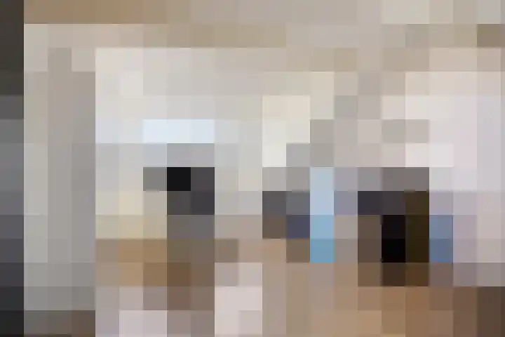 Kievitstraat 2 Enkhuizen thumbnail 20