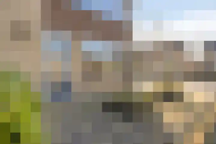 Kievitstraat 2 Enkhuizen thumbnail 28