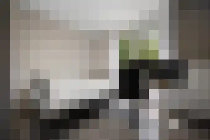 Kievitstraat 2 Helmond thumbnail 23