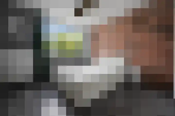 Kievitstraat 2 Helmond thumbnail 25