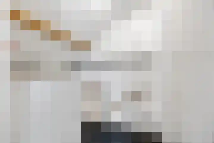 Kievitstraat 2 Helmond thumbnail 31