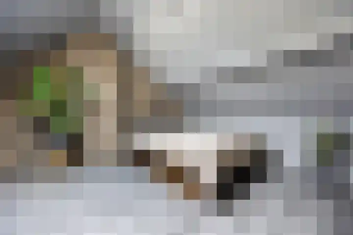 Kievitstraat 2 Helmond thumbnail 33