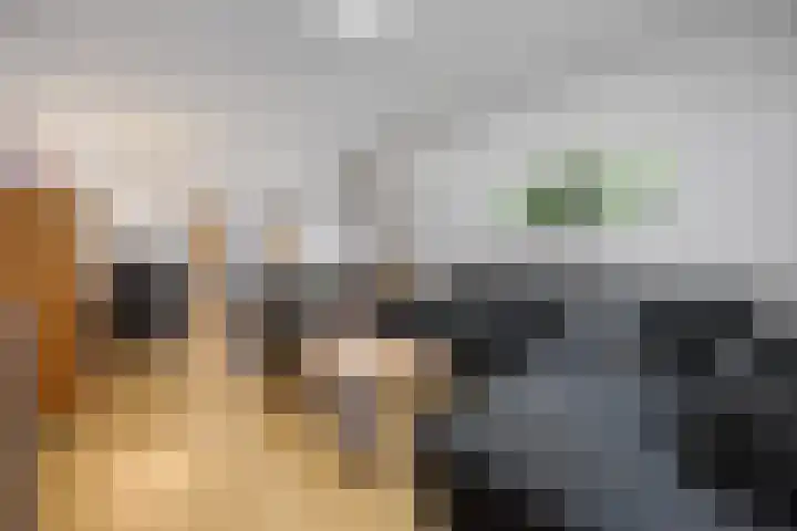 Kievitstraat 2 Helmond thumbnail 4