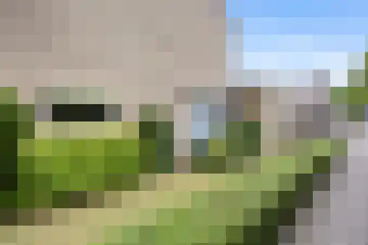 Kievitstraat 2 Helmond thumbnail 40