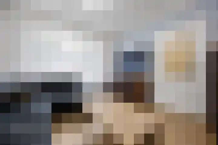 Kievitstraat 2 Helmond thumbnail 6
