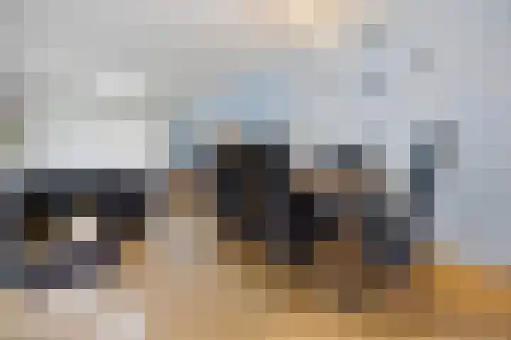 Kievitstraat 2 Helmond thumbnail 8