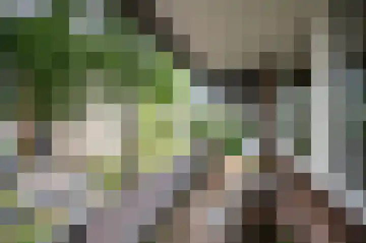 Kievitstraat 2 Leiderdorp thumbnail 16