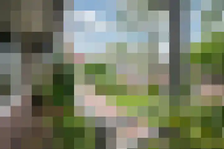 Kievitstraat 2 Leiderdorp thumbnail 17
