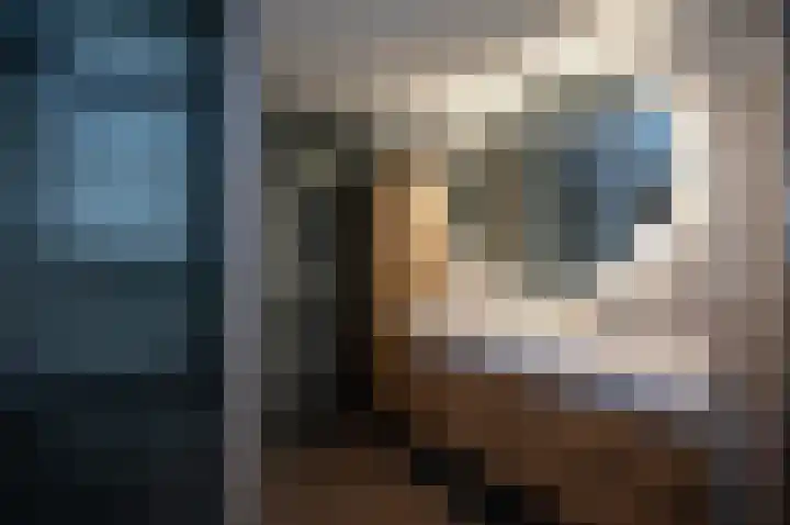 Kievitstraat 2 Leiderdorp thumbnail 26