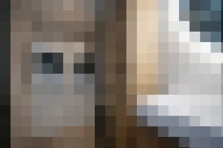 Kievitstraat 2 Leiderdorp thumbnail 27