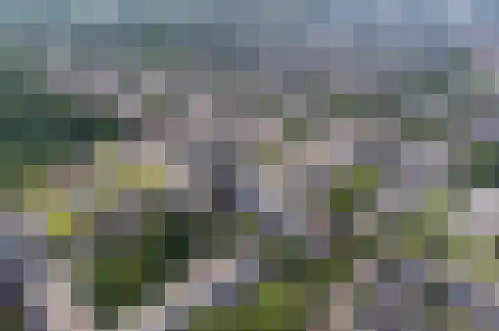 Kievitstraat 2 Leiderdorp thumbnail 29
