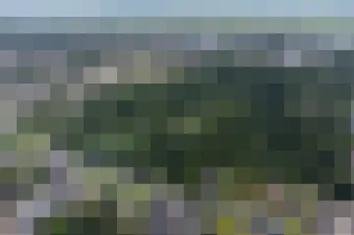 Kievitstraat 2 Leiderdorp thumbnail 30