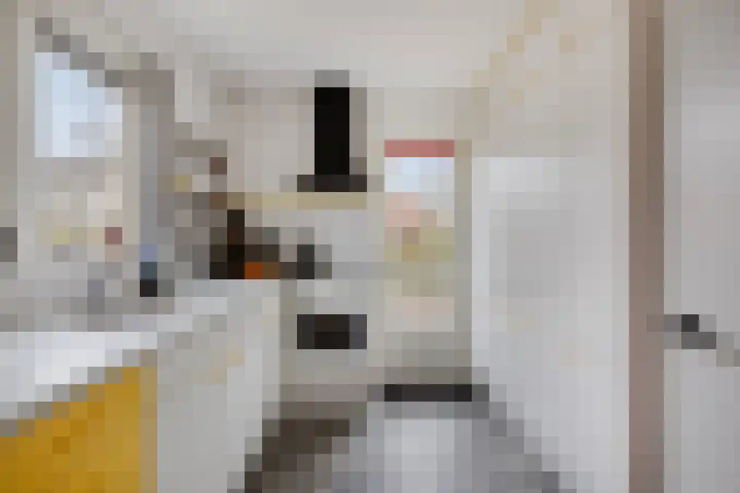 Kievitstraat 2 Zierikzee thumbnail 11