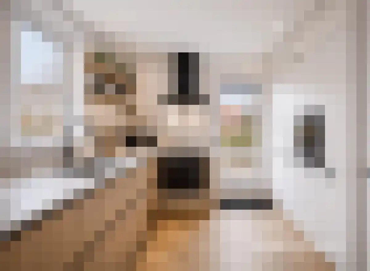 Kievitstraat 2 Zierikzee thumbnail 12