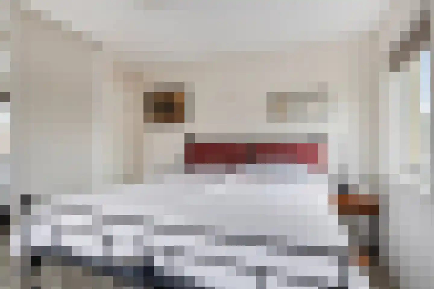 Kievitstraat 2 Zierikzee thumbnail 32