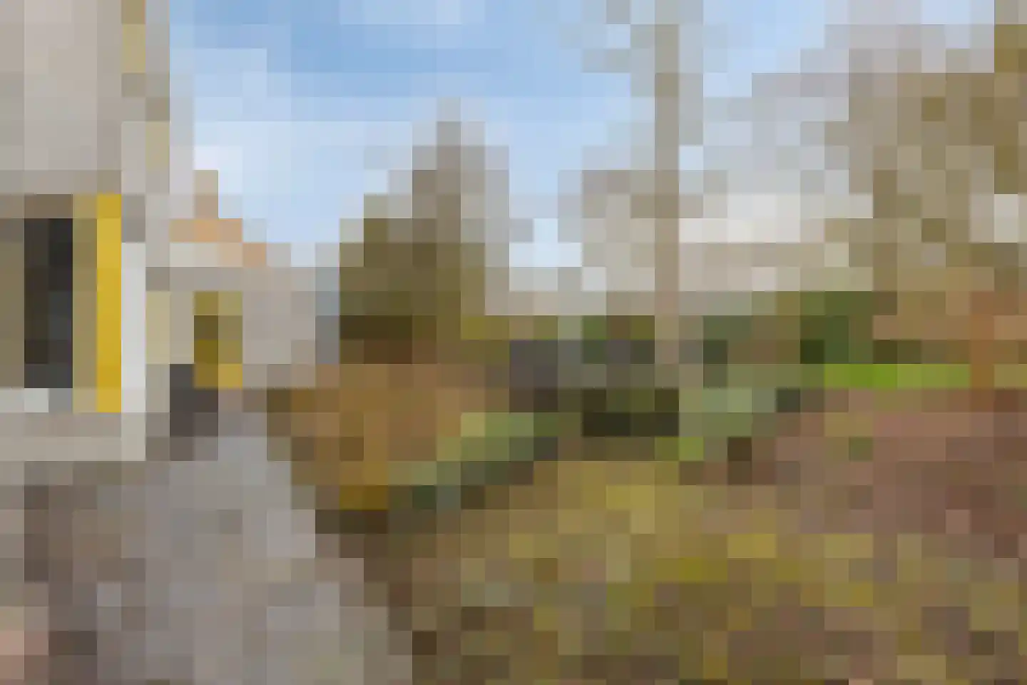 Kievitstraat 2 Zierikzee thumbnail 44