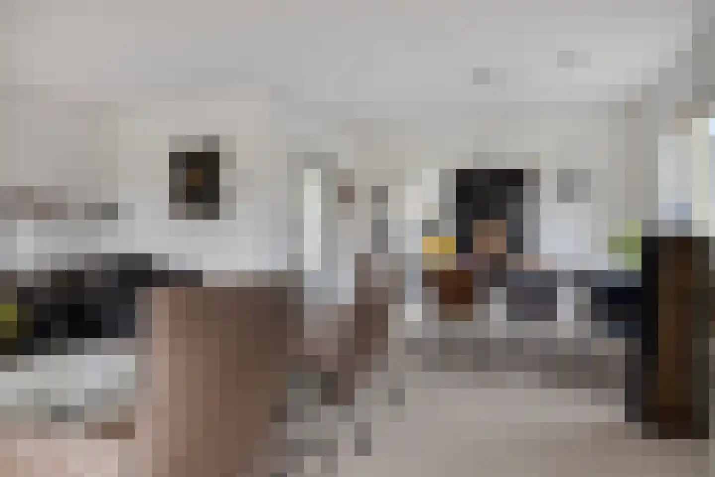 Kievitstraat 2 Zierikzee thumbnail 5