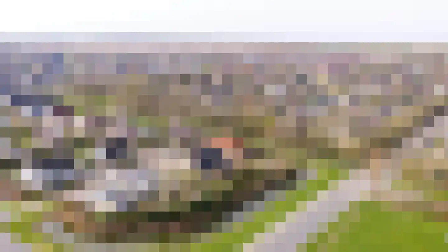 Kievitstraat 2 Zierikzee thumbnail 53