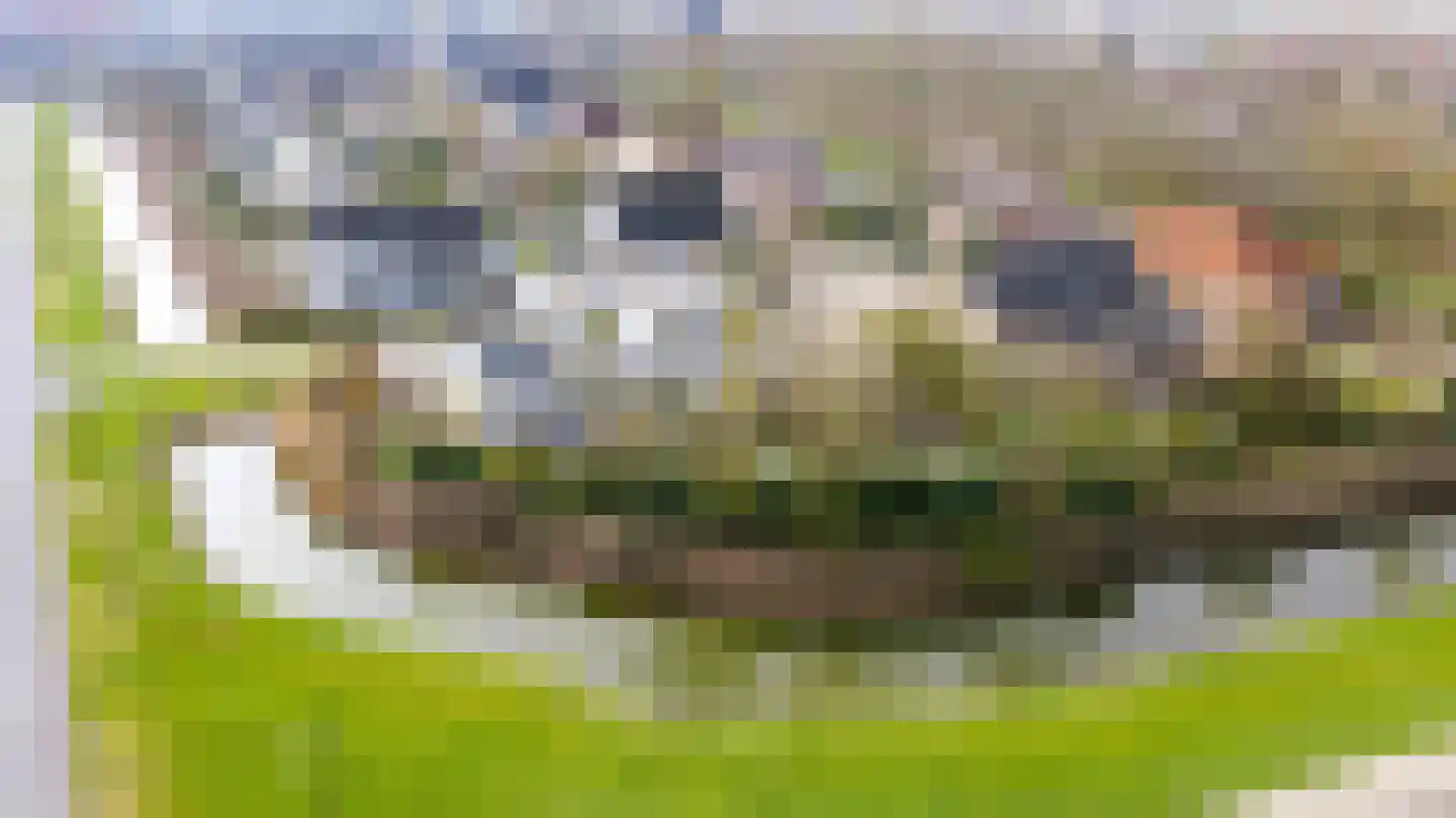 Kievitstraat 2 Zierikzee thumbnail 54