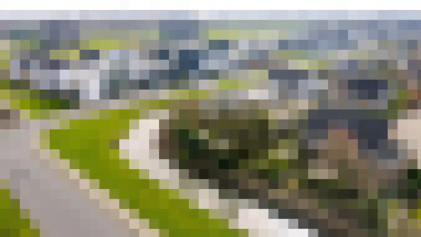 Kievitstraat 2 Zierikzee thumbnail 55