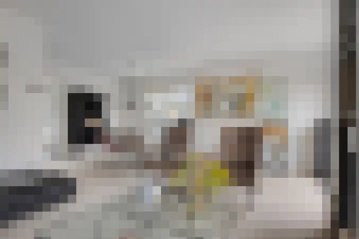 Kievitstraat 2 Zierikzee thumbnail 6