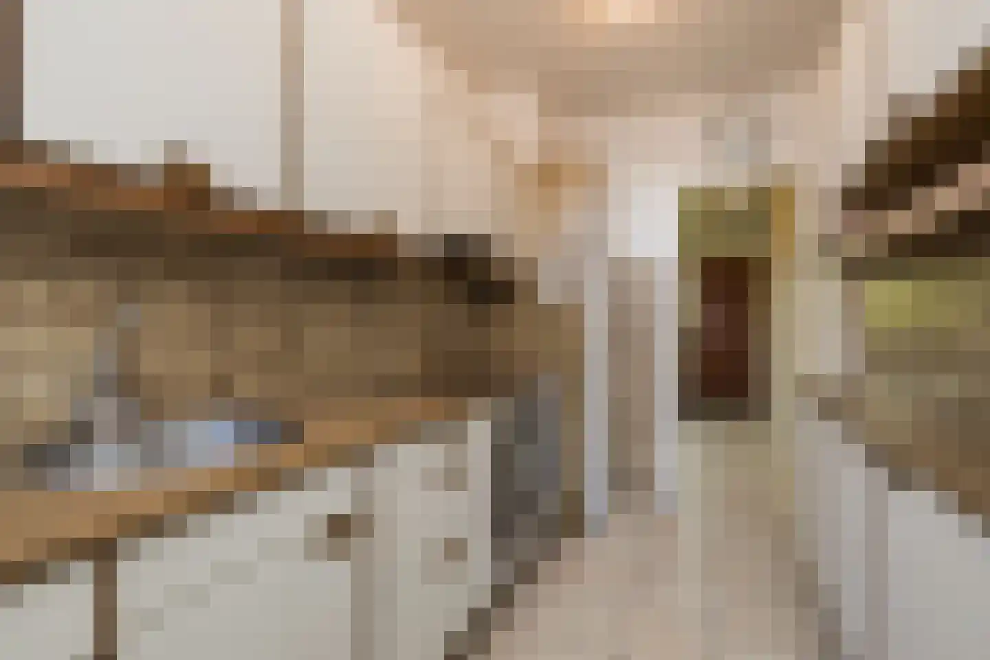 Kievitstraat 20 Lisse thumbnail 10