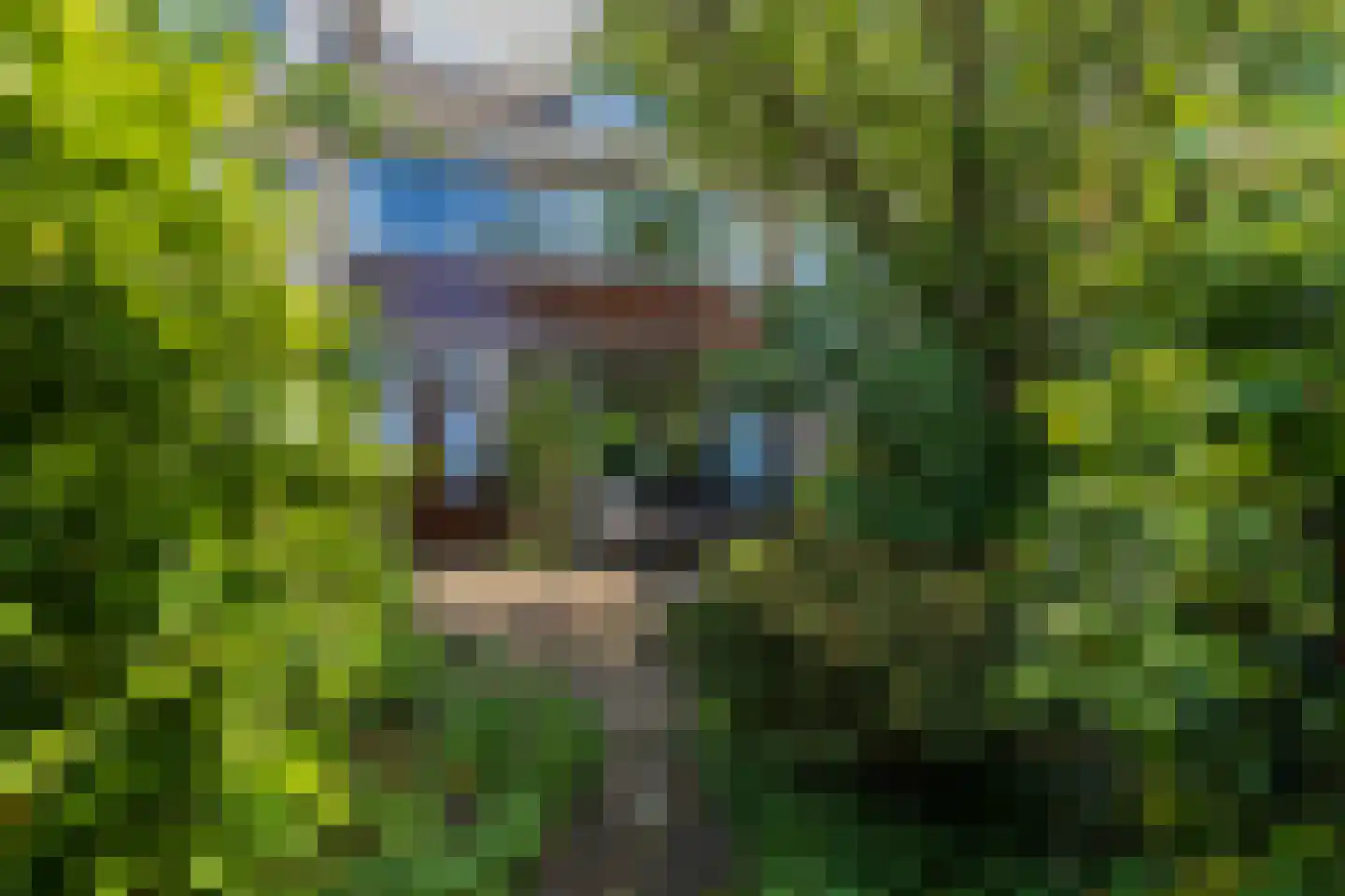 Kievitstraat 20 Lisse thumbnail 16