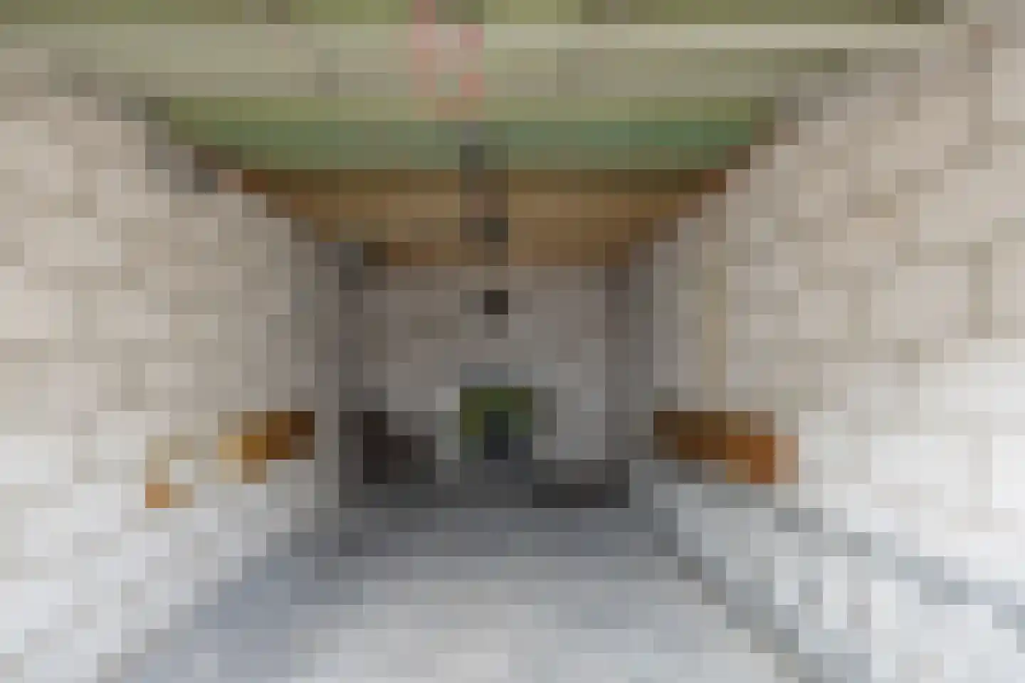 Kievitstraat 20 Lisse thumbnail 18