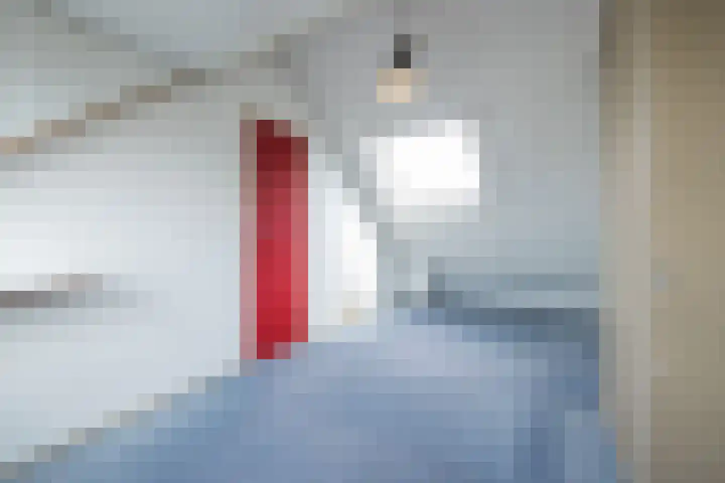 Kievitstraat 20 Lisse thumbnail 30