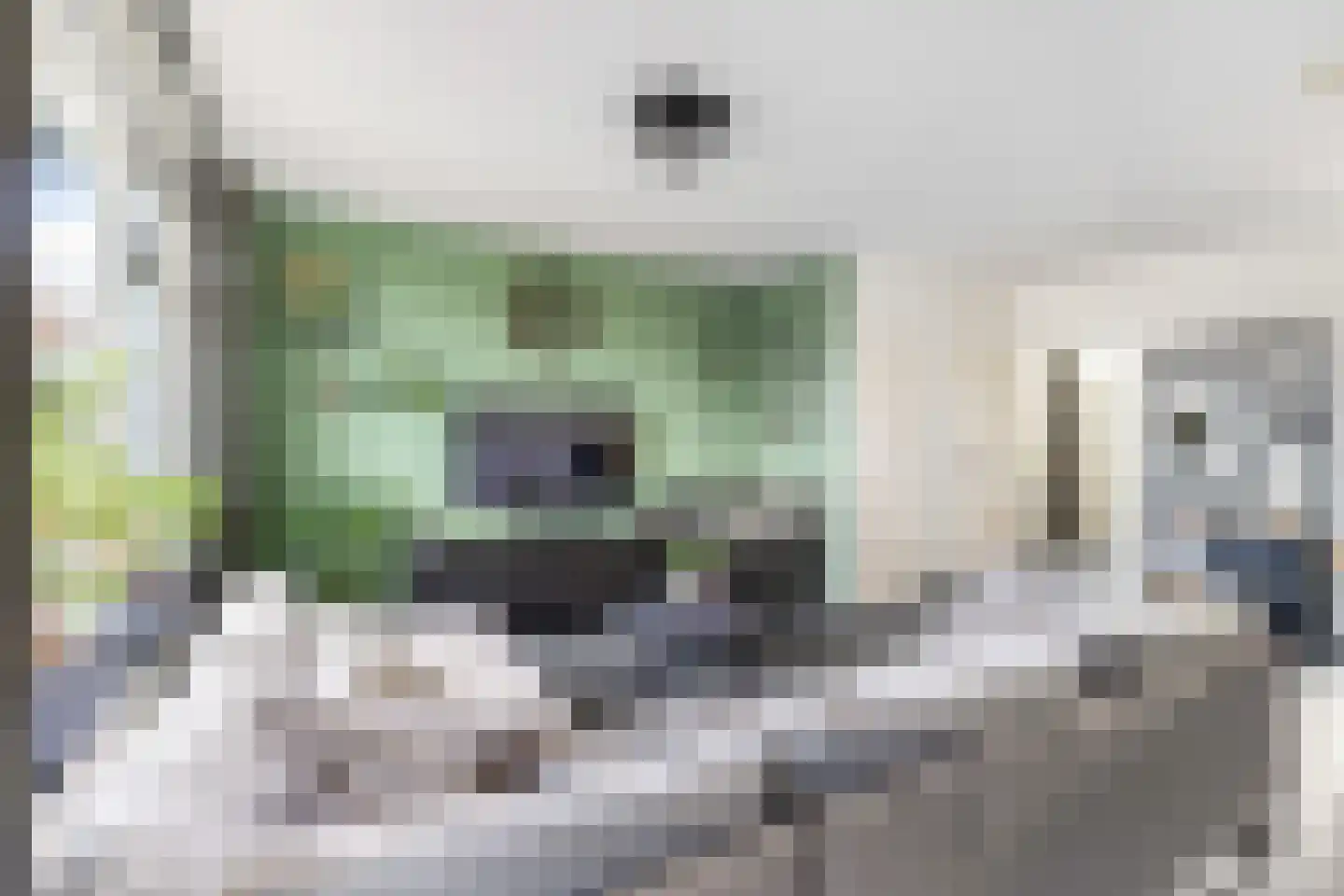 Kievitstraat 21 Fijnaart thumbnail 15