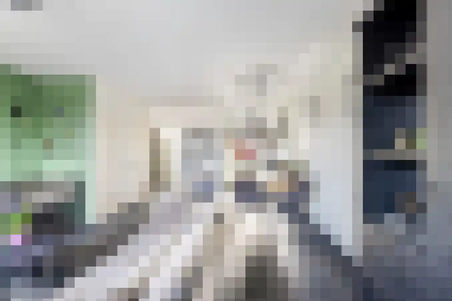 Kievitstraat 21 Fijnaart thumbnail 16