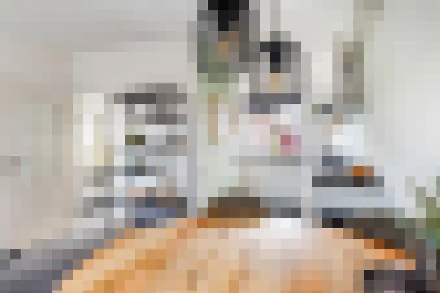 Kievitstraat 21 Fijnaart thumbnail 18