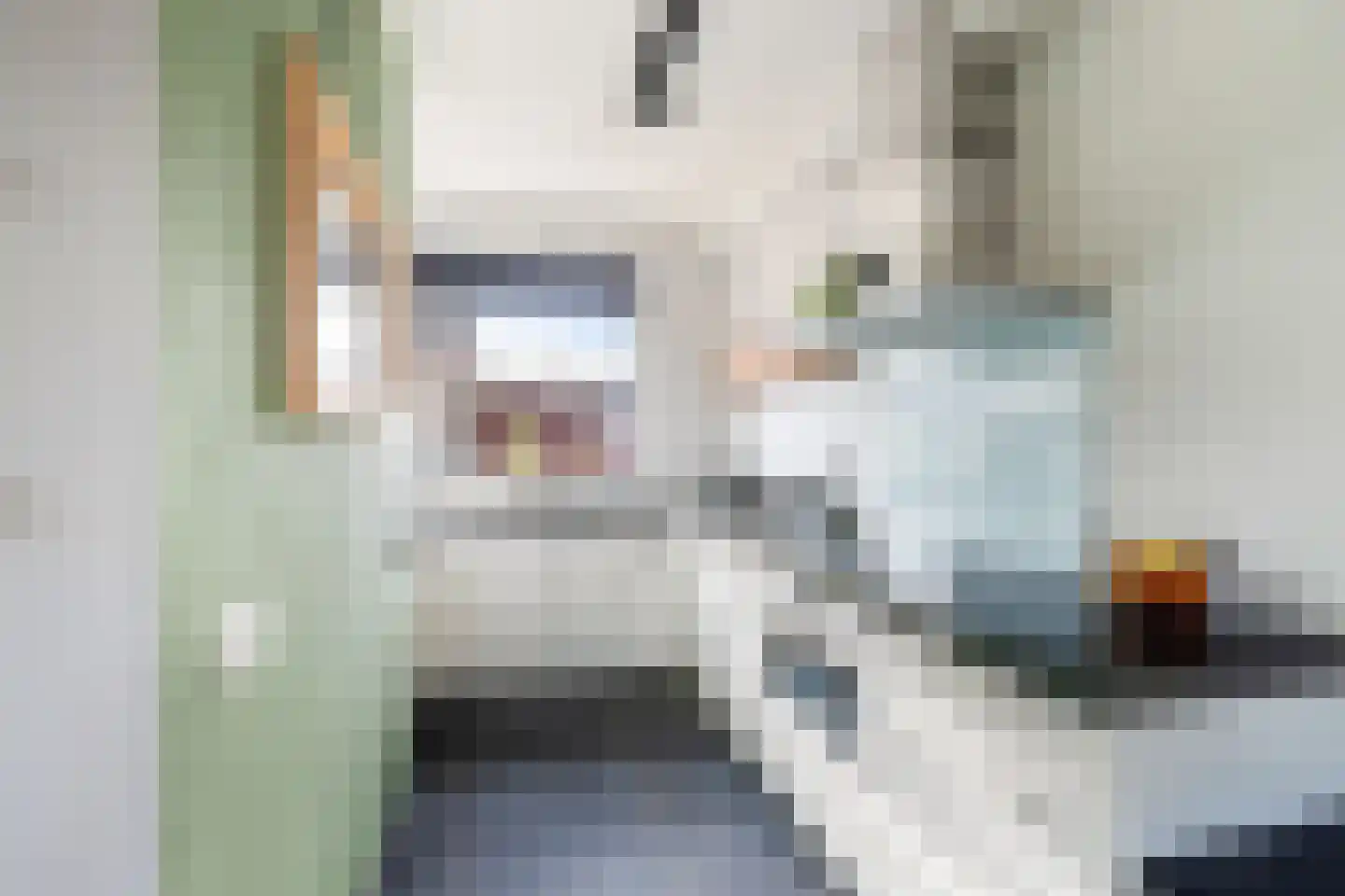 Kievitstraat 21 Fijnaart thumbnail 20