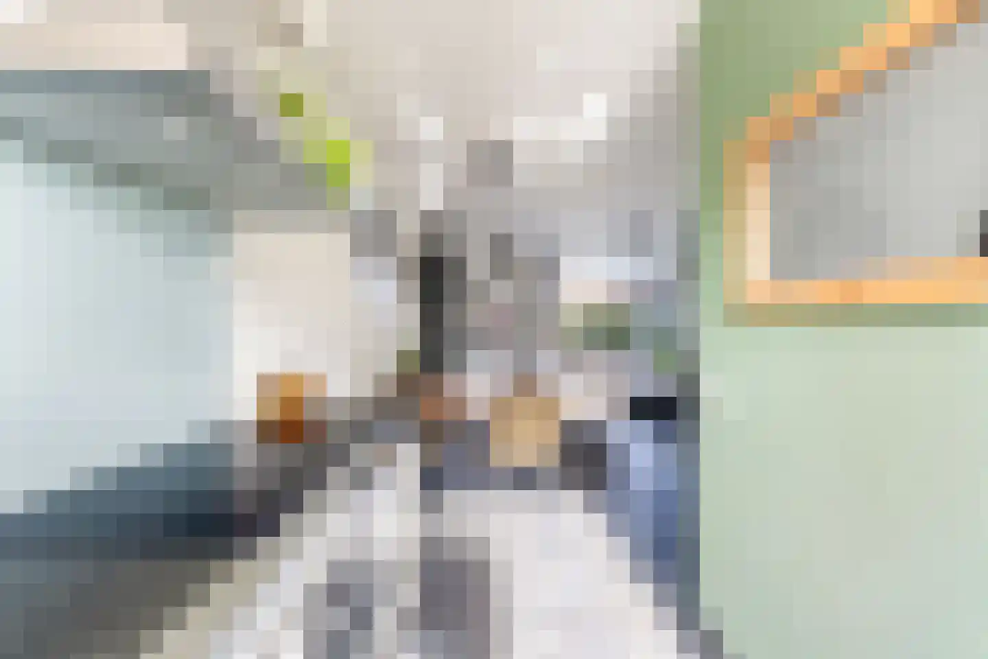 Kievitstraat 21 Fijnaart thumbnail 22