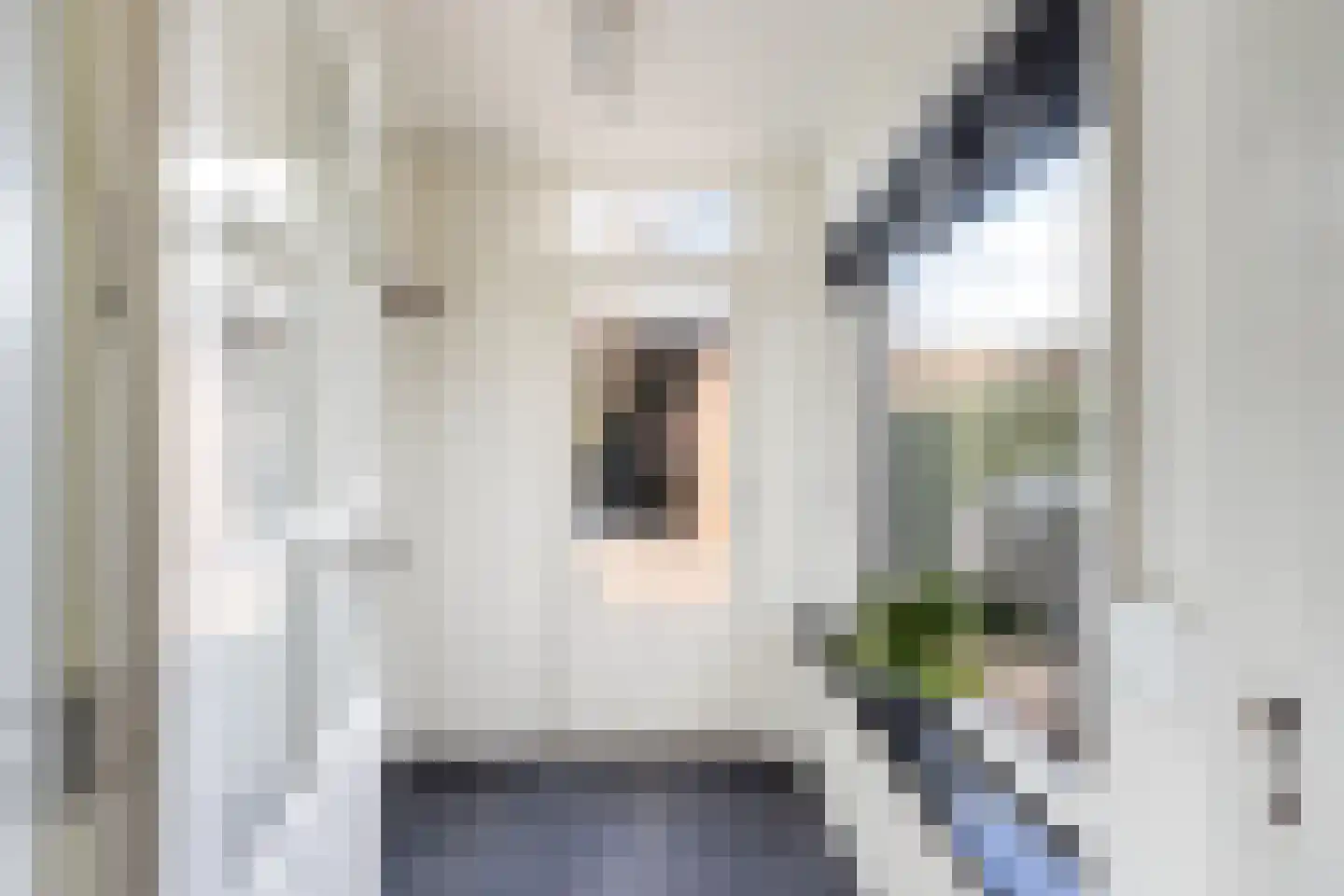 Kievitstraat 21 Fijnaart thumbnail 24