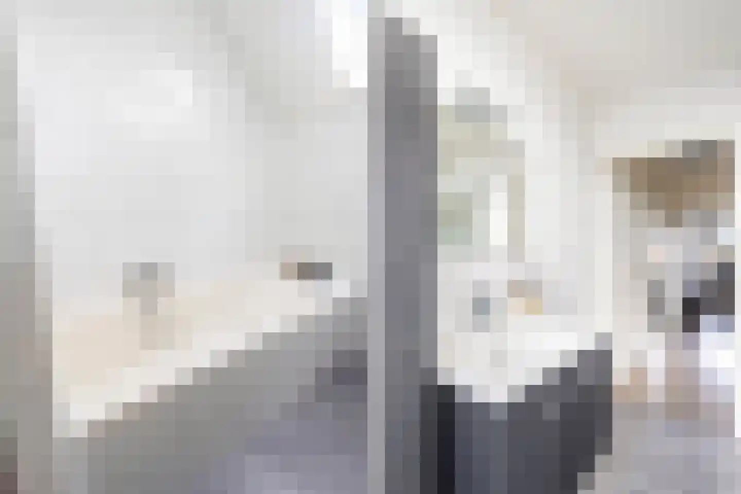 Kievitstraat 21 Fijnaart thumbnail 30