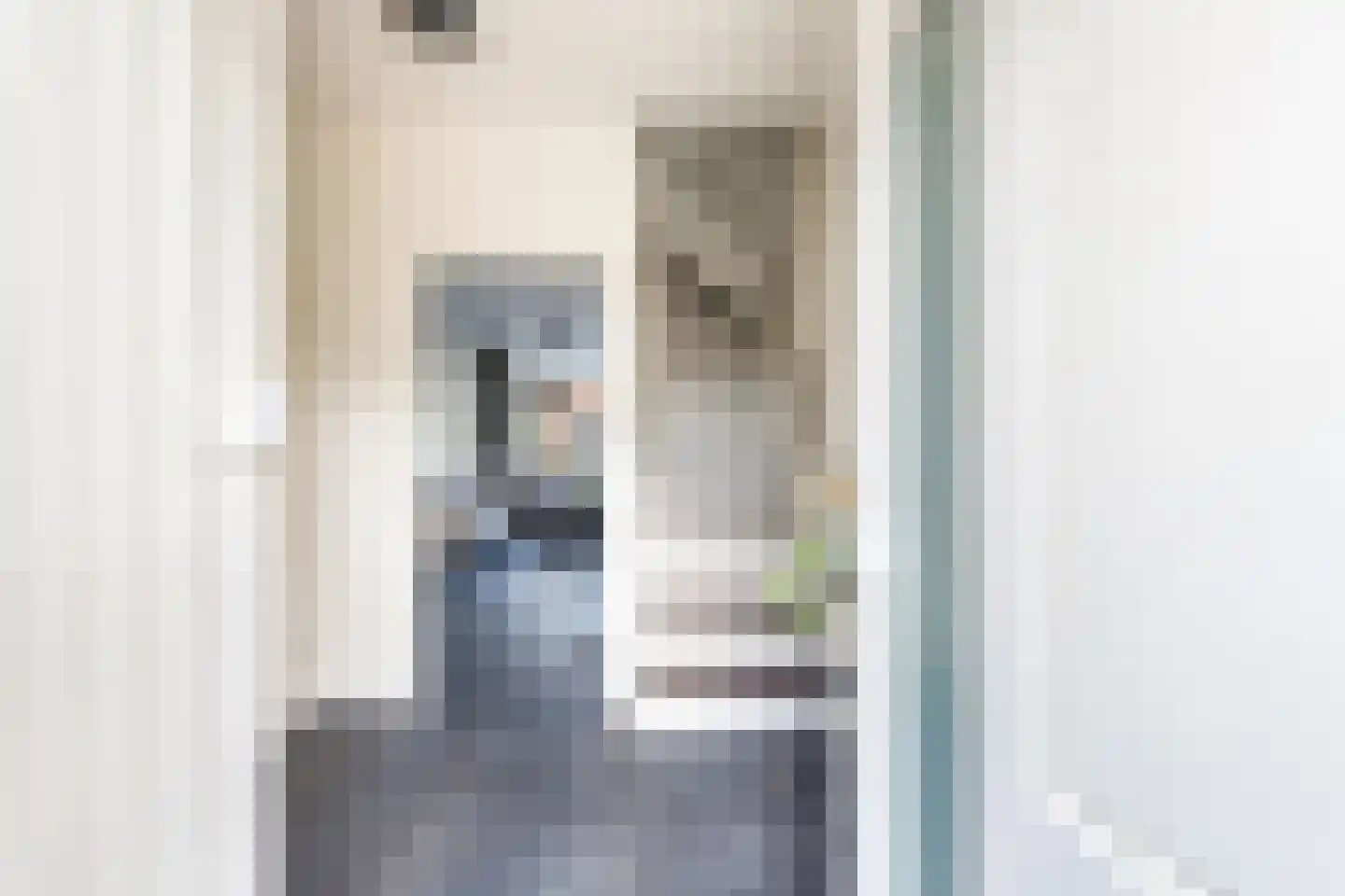 Kievitstraat 21 Fijnaart thumbnail 7