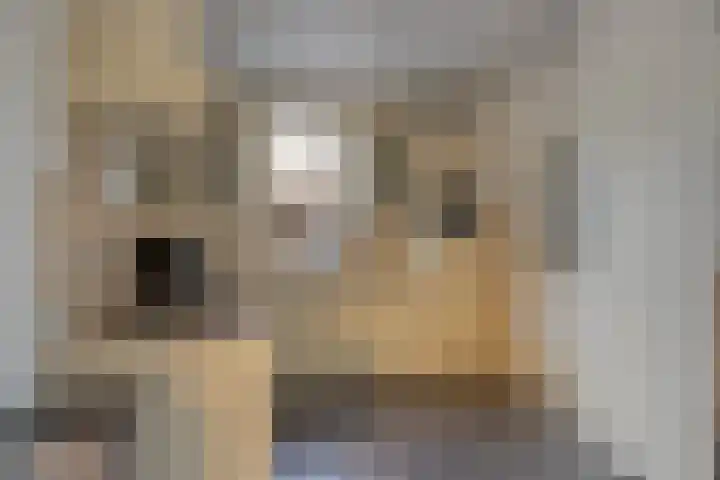 Kievitstraat 21 Goor thumbnail 10