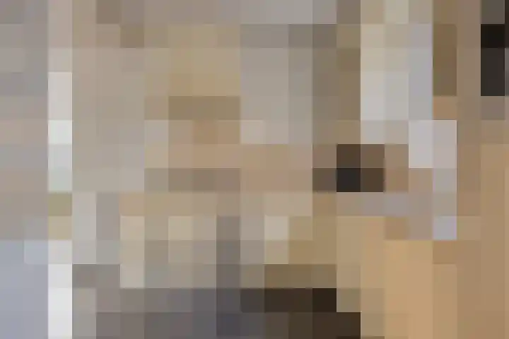 Kievitstraat 21 Goor thumbnail 11