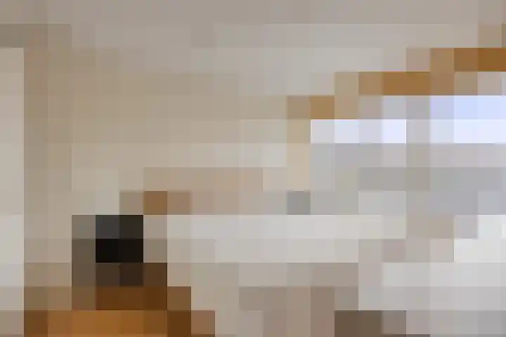 Kievitstraat 21 Goor thumbnail 15